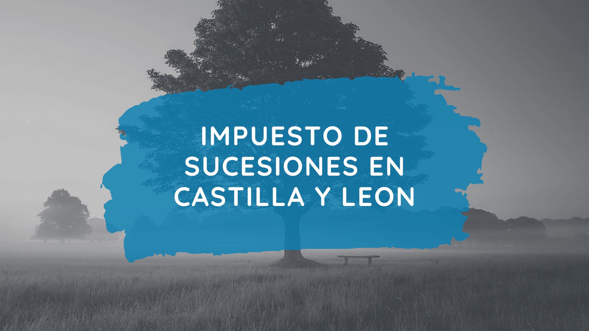 Impuesto De Sucesiones En Castilla Y Leon Leggado