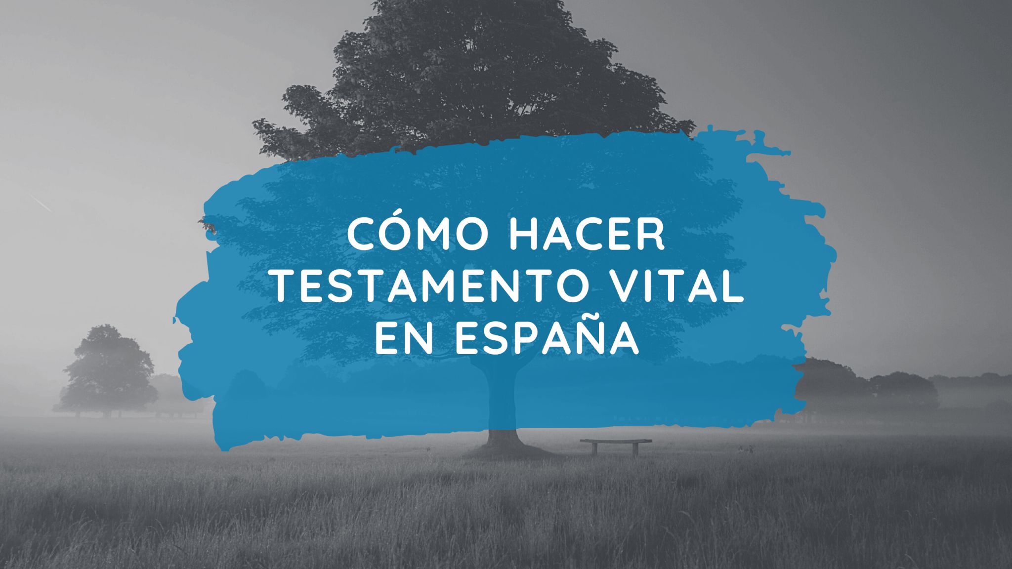Cómo Hacer Testamento Vital en España