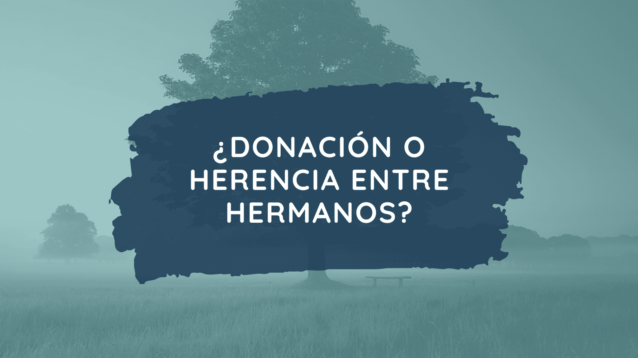 Donación O Herencia Entre Hermanos 【Leggado Abogado De Herencias®】